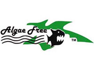 Algae Free