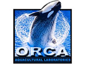 Orca Labs