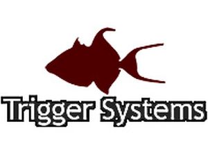 Trigger Systems