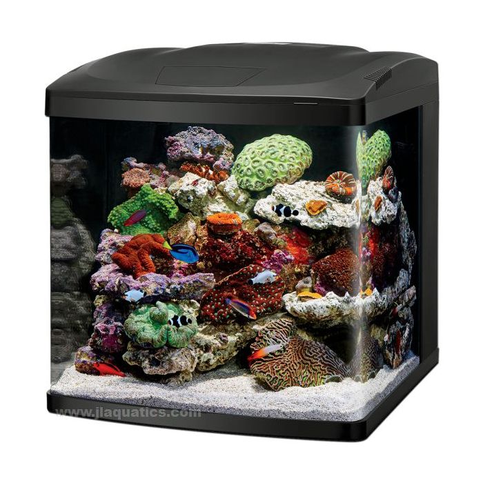 Buy Coralife LED BioCube (32 Gallon) at www.jlaquatics.com