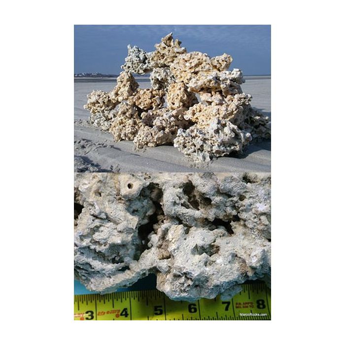 Buy Marco Rock - Key Largo Reef Rock (1lb) in Canada