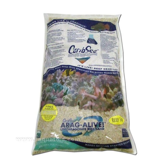 Buy Caribsea Arag-Alive Special Grade Reef Sand Substrate - 20lb in Canada
