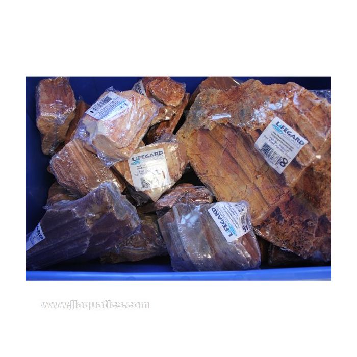 Buy Lifegard Redwood Petrified Stone - All Sizes in Canada