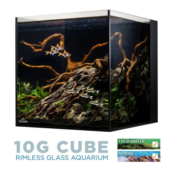 IceCap All In One Glass Aquarium - 10 Gallon
