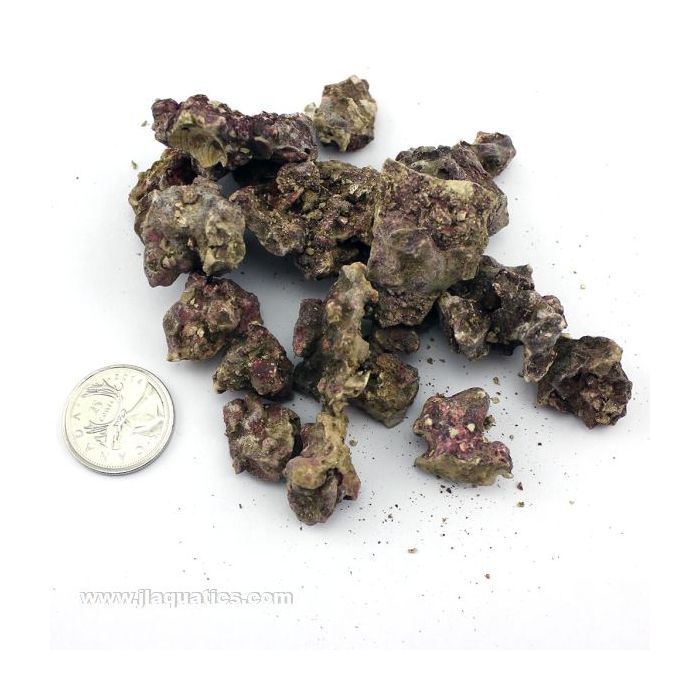 Buy Reef Crest Goby Rubble - 450 Gram in Canada
