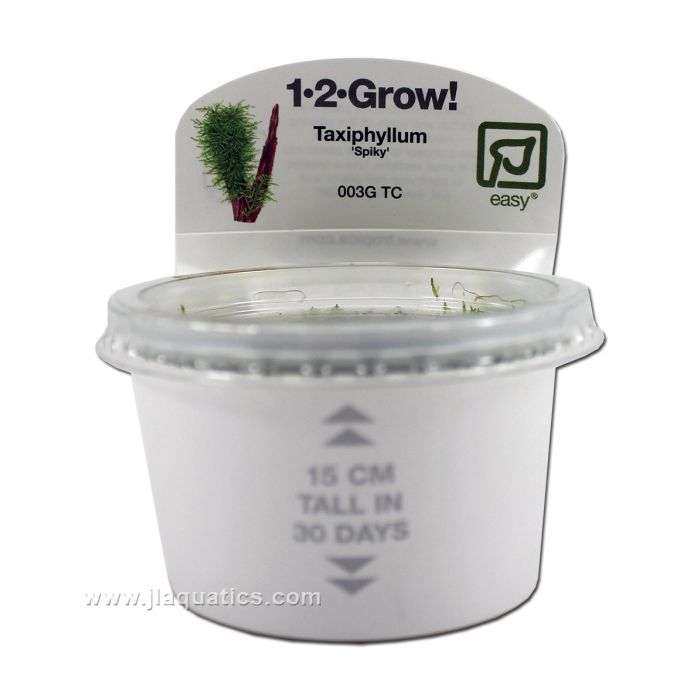 Tropica Taxiphyllum (Spiky) front of packaging