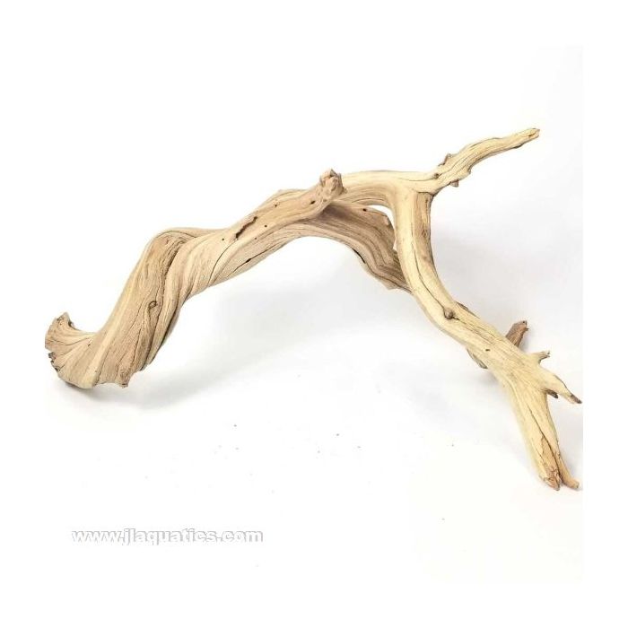 Buy Tropica Manzanita Wood - Up to 12 Inches in Canada