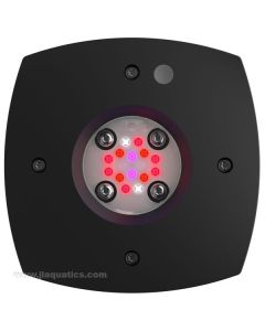 AI Prime Fuge 16 LED bottom view showing LED layout