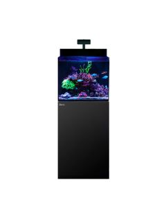Red Sea Max Nano  G2 XL and Black Cabinet